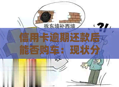 信用卡逾期还款后能否购车：现状分析及建议