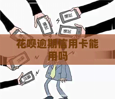 花呗逾期信用卡能用吗