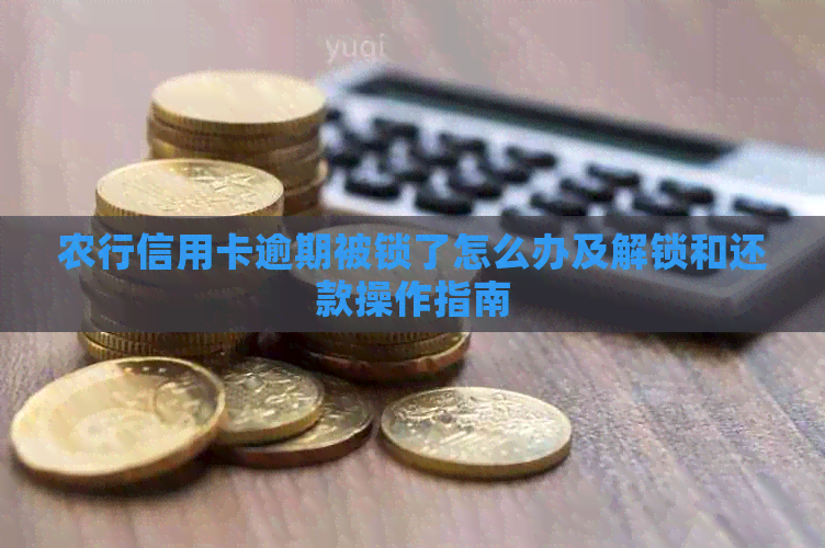 农行信用卡逾期被锁了怎么办及解锁和还款操作指南