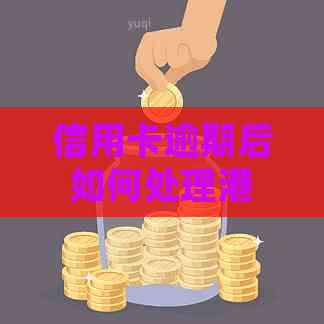 信用卡逾期后如何处理港澳通行证及相关问题，全面解决您的困扰