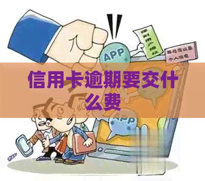 信用卡逾期要交什么费