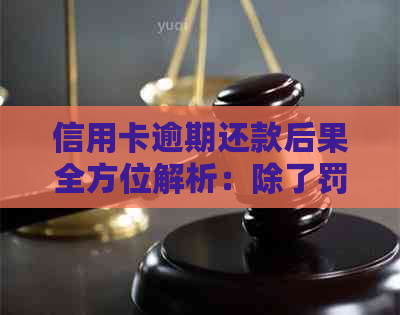 信用卡逾期还款后果全方位解析：除了罚息和信用记录损害，还可能导致什么？