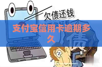 支付宝信用卡逾期多久