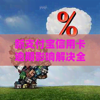 新支付宝信用卡逾期影响解决全攻略，如何避免信用冻结！