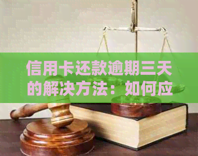 信用卡还款逾期三天的解决方法：如何应对忘记还款？