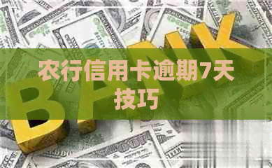 农行信用卡逾期7天技巧