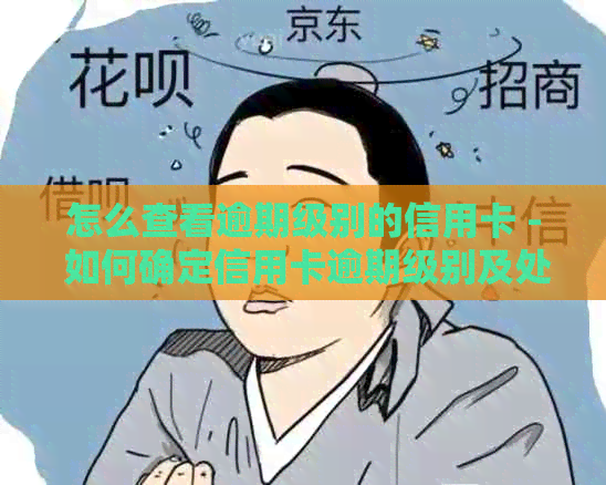 怎么查看逾期级别的信用卡 - 如何确定信用卡逾期级别及处理建议