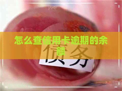 怎么查信用卡逾期的余额