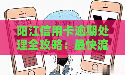 阳江信用卡逾期处理全攻略：最快流程详解