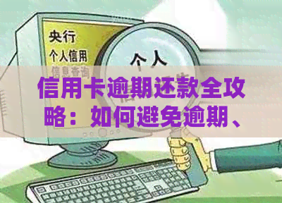 信用卡逾期还款全攻略：如何避免逾期、降低利息、恢复信用？