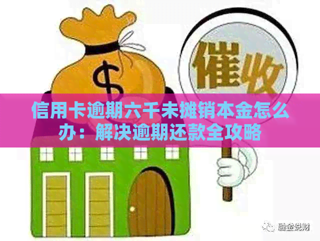 信用卡逾期六千未摊销本金怎么办：解决逾期还款全攻略