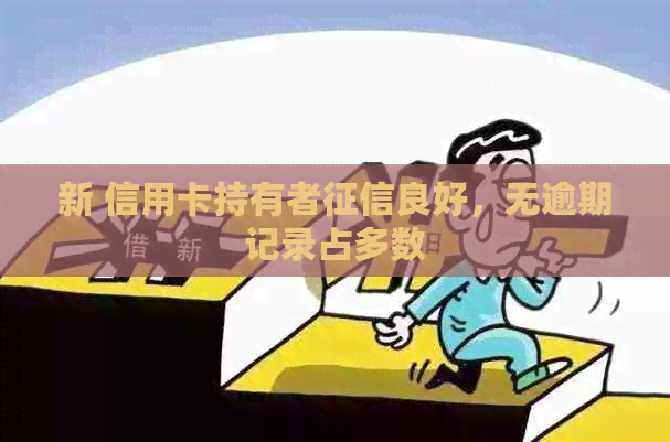 新 信用卡持有者良好，无逾期记录占多数