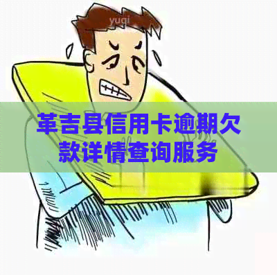 革吉县信用卡逾期欠款详情查询服务