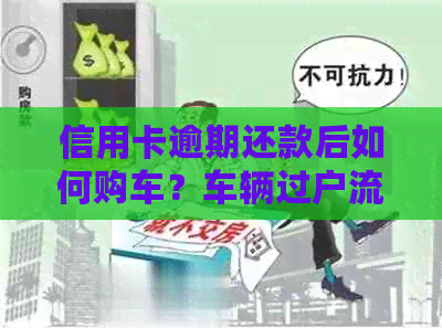 信用卡逾期还款后如何购车？车辆过户流程及费用解析，解决您的所有疑问！