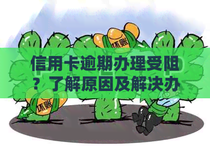 信用卡逾期办理受阻？了解原因及解决办法，让你轻松办卡！