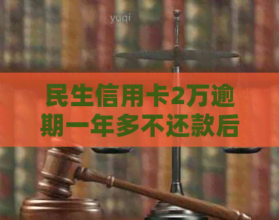 民生信用卡2万逾期一年多不还款后果：起诉与影响分析