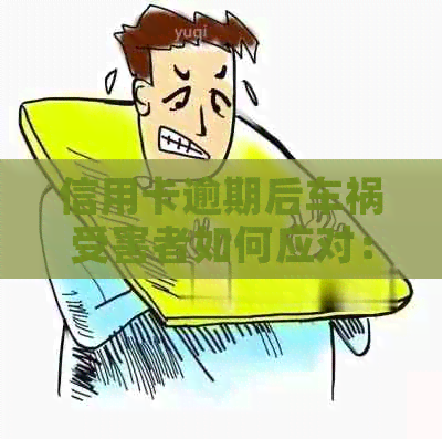 信用卡逾期后车祸受害者如何应对：全面解决方案与建议