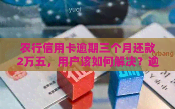 农行信用卡逾期三个月还款2万五，用户该如何解决？逾期后果及期还款攻略