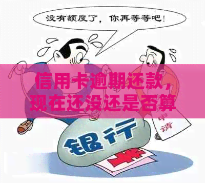 信用卡逾期还款，现在还没还是否算作违规？如何解决？