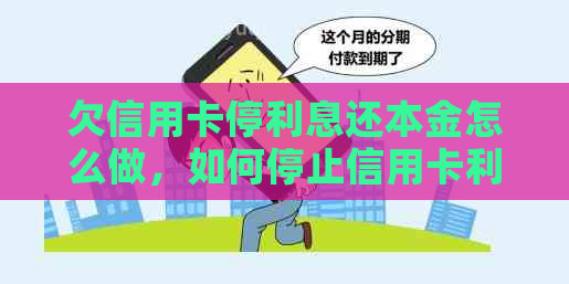 欠信用卡停利息还本金怎么做，如何停止信用卡利息支付？