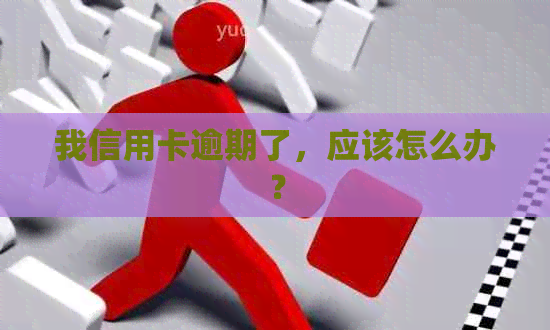 我信用卡逾期了，应该怎么办？