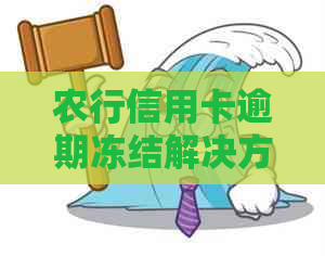 农行信用卡逾期冻结解决方法及影响分析，帮助用户全面了解相关问题