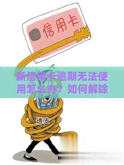 新信用卡逾期无法使用怎么办？如何解除限制并重新启用？