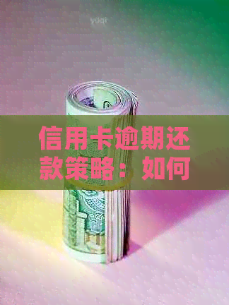 信用卡逾期还款策略：如何有效减少利息和违约金负担