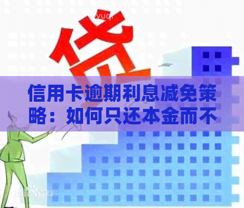 信用卡逾期利息减免策略：如何只还本金而不产生额外费用？了解全部信息