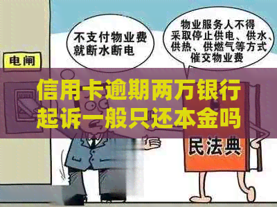 信用卡逾期两万银行起诉一般只还本金吗？欠信用卡两万元被起诉了会怎么样？