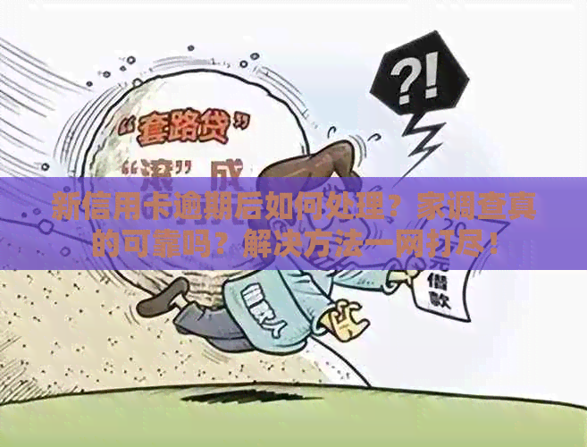 新信用卡逾期后如何处理？家调查真的可靠吗？解决方法一网打尽！