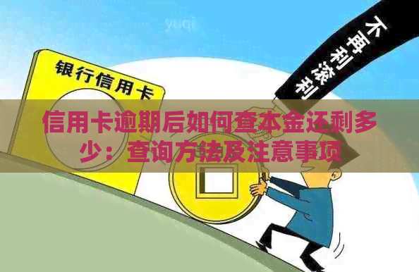 信用卡逾期后如何查本金还剩多少：查询方法及注意事项