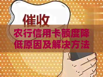 农行信用卡额度降低原因及解决方法 - 2020年用户指南