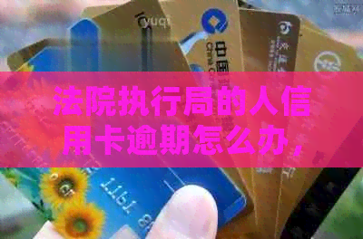 法院执行局的人信用卡逾期怎么办，如何办理？