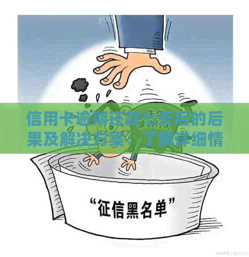 信用卡逾期还款七天后的后果及解决方案：了解详细情况，避免不良信用记录