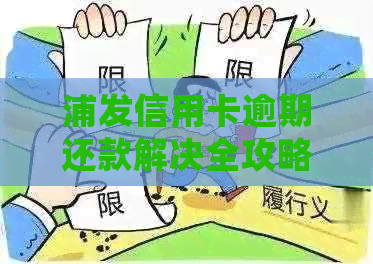 浦发信用卡逾期还款解决全攻略：常见问题、应对措、期申请步骤详解