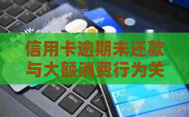 信用卡逾期未还款与大额消费行为关联分析