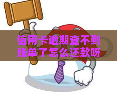 信用卡逾期查不到账单了怎么还款呀，请帮忙。