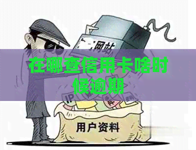 在哪查信用卡啥时候逾期