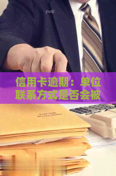 信用卡逾期：单位联系方式是否会被泄露？如何避免不必要的麻烦？