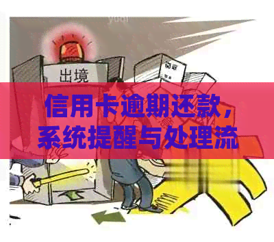 信用卡逾期还款，系统提醒与处理流程详细解析