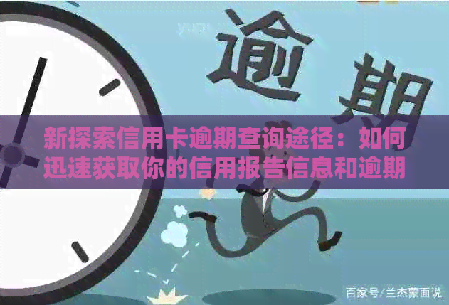 新探索信用卡逾期查询途径：如何迅速获取你的信用报告信息和逾期详情