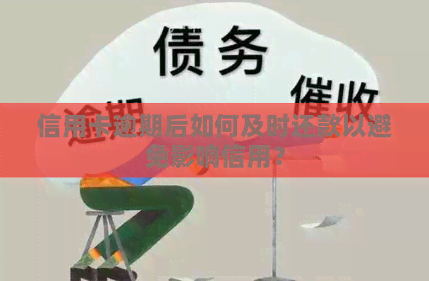 信用卡逾期后如何及时还款以避免影响信用？