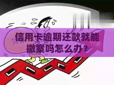 信用卡逾期还款就能撤案吗怎么办？