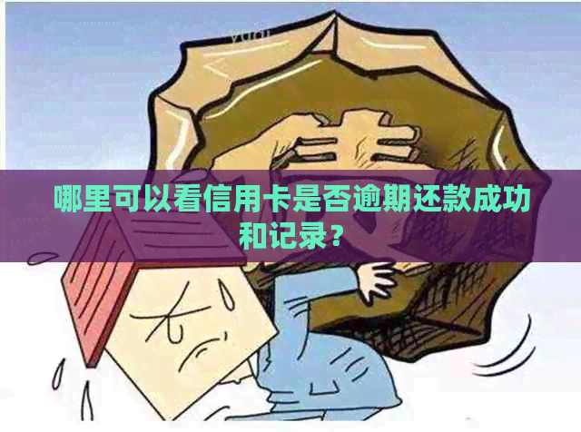 哪里可以看信用卡是否逾期还款成功和记录？