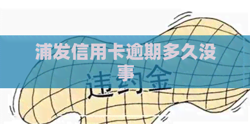 浦发信用卡逾期多久没事