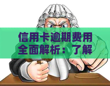 信用卡逾期费用全面解析：了解影响、计算方法和如何避免逾期产生的额外费用