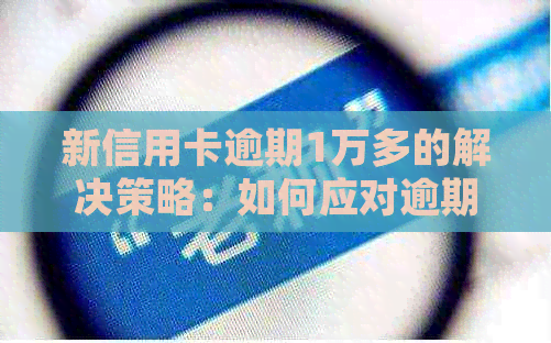 新信用卡逾期1万多的解决策略：如何应对逾期账单并避免影响信用？