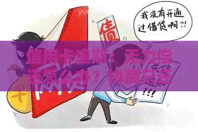 信用卡逾期：无力偿还怎么办？协商只还本金流程与停息挂账处理