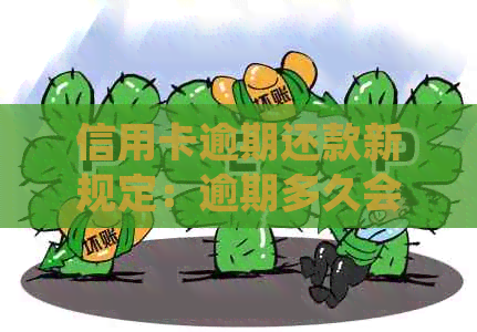 信用卡逾期还款新规定：逾期多久会被起诉？如何避免逾期产生的法律责任？